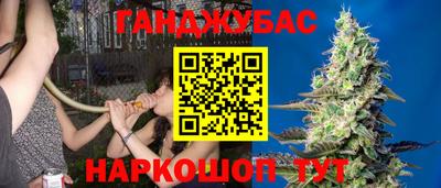 крисы Азнакаево