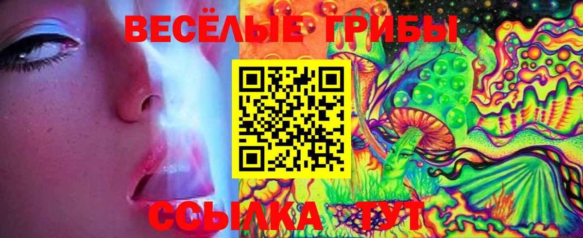 Галлюциногенные грибы GOLDEN TEACHER  Галлюциногенные грибы ЛСД  Амурск  Вход с VPN 