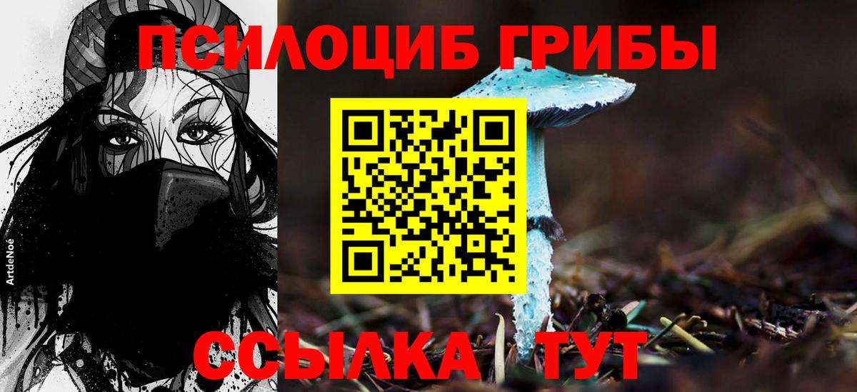 Галлюциногенные грибы прущие грибы  Вход с VPN  Галлюциногенные грибы Magic Shrooms  Амурск 